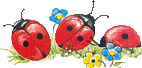 beestje06